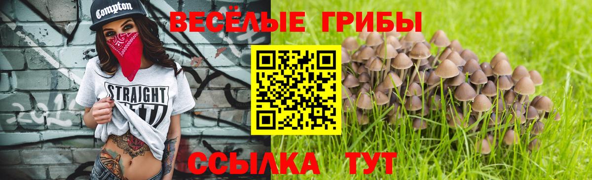 Галлюциногенные грибы Cubensis Екатеринбург